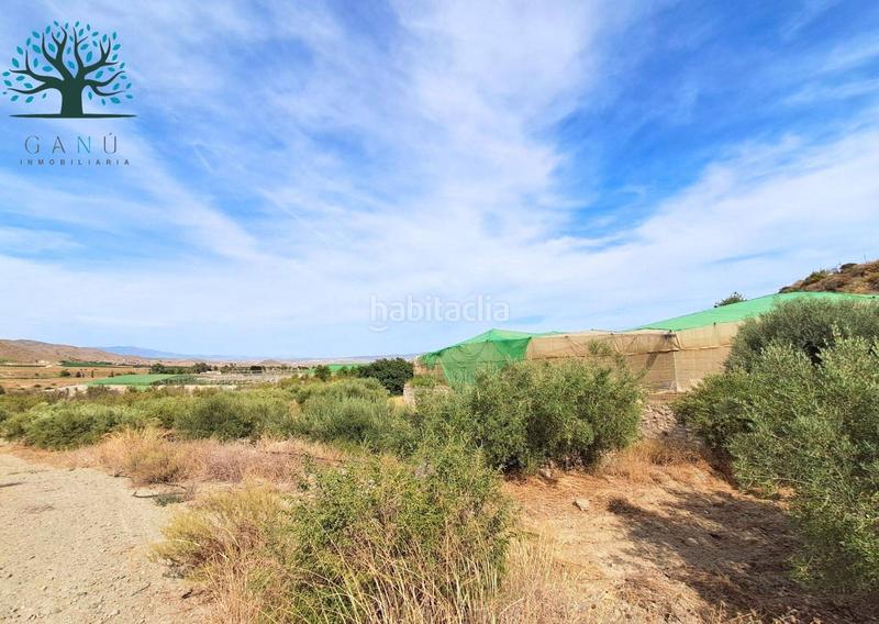 Foto 7321ee5b-7f0e-4368-8878-f6d45b72f908. Landgut in Mazarrón casco urbano Mazarrón