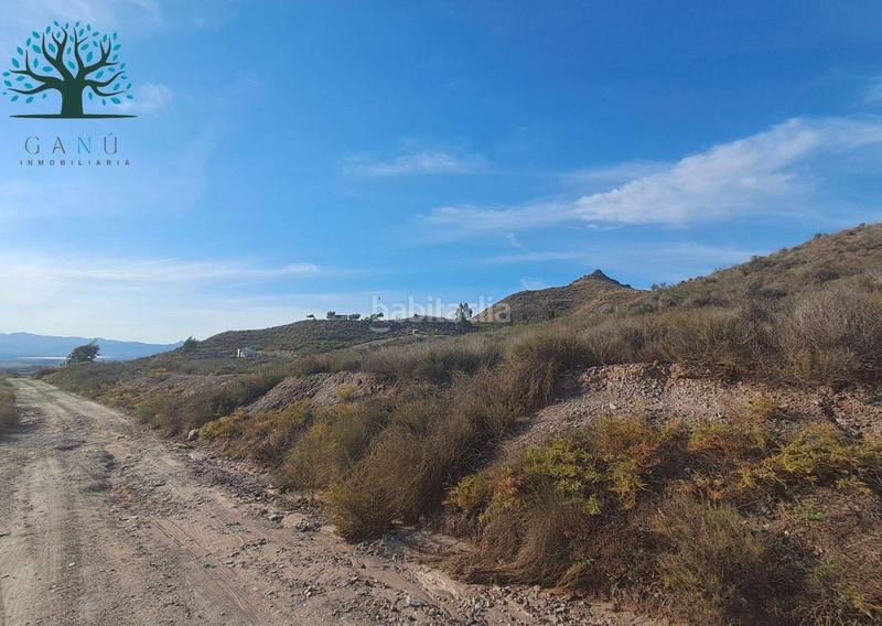 Foto 13b4b3d9-4d30-46ee-a9f5-f94b0e361218. Finca rústica a Mazarrón casco urbano Mazarrón