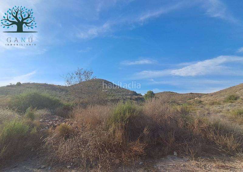 Foto 31434e70-ff17-4cbc-b930-5e95720e5ca8. Finca rústica a Mazarrón casco urbano Mazarrón