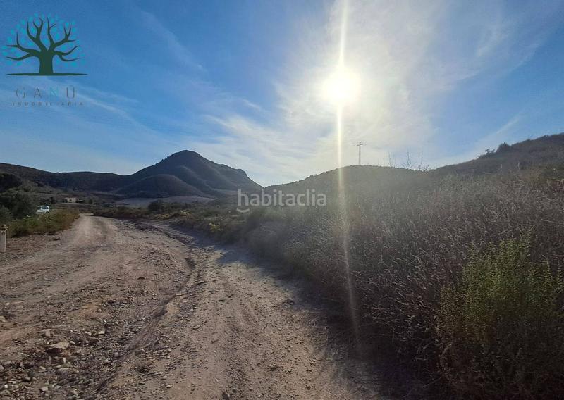 Foto 3bbf79a2-cd2b-444c-b441-bf84b3efd36e. Finca rústica a Mazarrón casco urbano Mazarrón