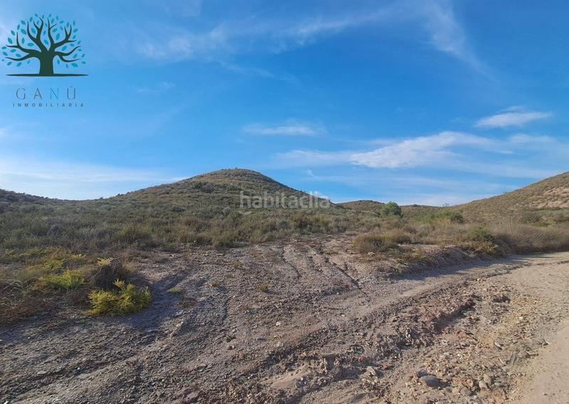 Foto ba83e6c2-4f37-4b2e-99a3-bce36c54d83d. Finca rústica a Mazarrón casco urbano Mazarrón