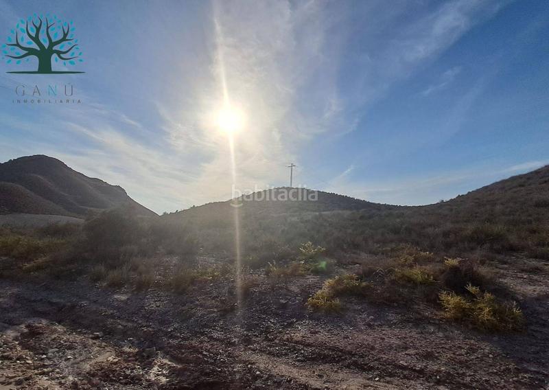 Foto d4e4ef35-b955-47fa-8399-d9b88b21833d. Finca rústica a Mazarrón casco urbano Mazarrón