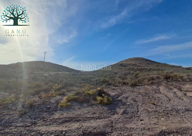 Foto e071c75a-870e-4321-bdd4-f2009bca4843. Finca rústica a Mazarrón casco urbano Mazarrón