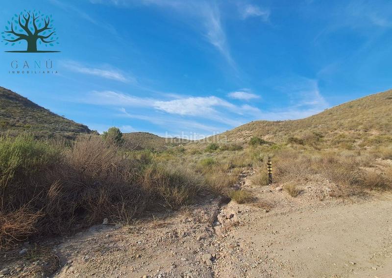 Foto f10b743a-47f0-4696-9ed8-3b52b3e3ba30. Finca rústica a Mazarrón casco urbano Mazarrón