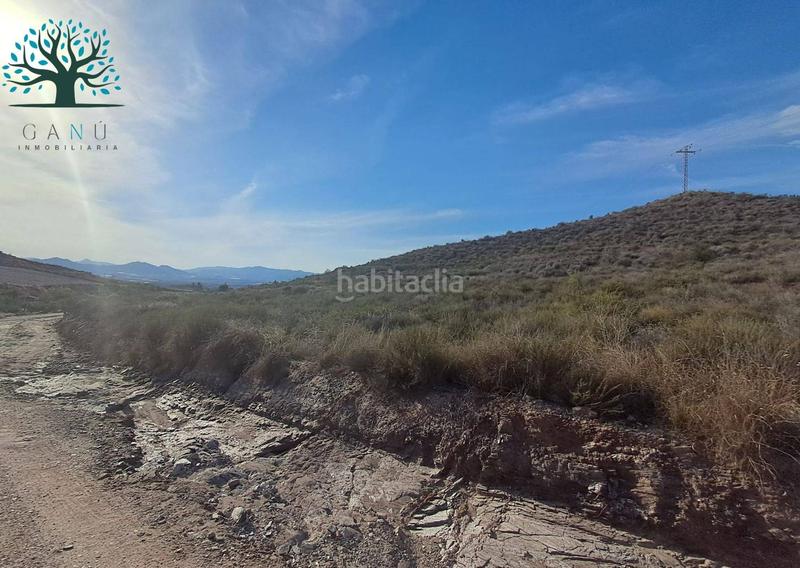 Foto f7c76506-008b-48c4-bfd3-1dc3b3bdbe0c. Finca rústica a Mazarrón casco urbano Mazarrón