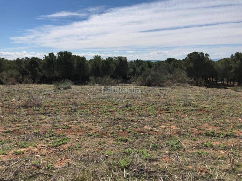 Foto 589a6faa-ad5a-49b8-9eb3-ec0909c35aa2. Terreno residenziale in isla de sicilia 7 in Casar (El)