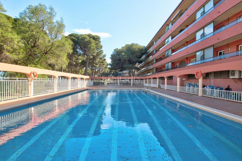 Foto e05f6f6d-83a4-4fe7-a8b3-0418f0a96df0. Apartamento mag053 en l´Estartit poble Estartit