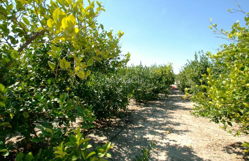 Foto 1242ff9e-b8d7-4b7f-b976-2885bcde8b34. Casa amb aparcament piscina a Cantoria