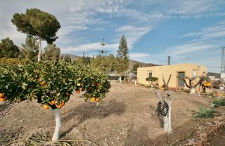 Casa  Calle bacares. Maravillosa finca en nijar villa