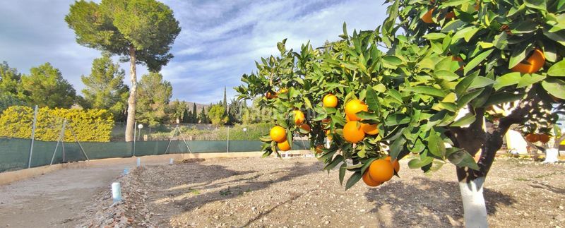 Foto fdee0863-d910-42a3-a56e-25eedb25a277. Casa amb aparcament piscina a Nijar Pueblo Níjar