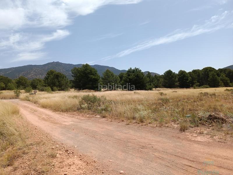 Foto 2e60f109-d838-403a-82d9-aa4fd83e00a2. Terreno residencial terreno en Totana