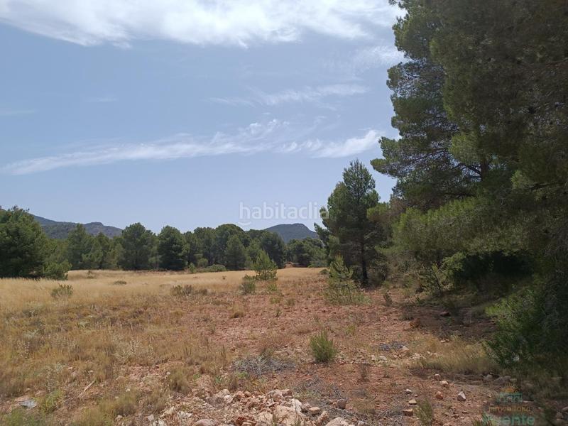 Foto 583e01e3-0e00-46a5-9c68-ba0ee8463b68. Terreno residencial terreno en Totana