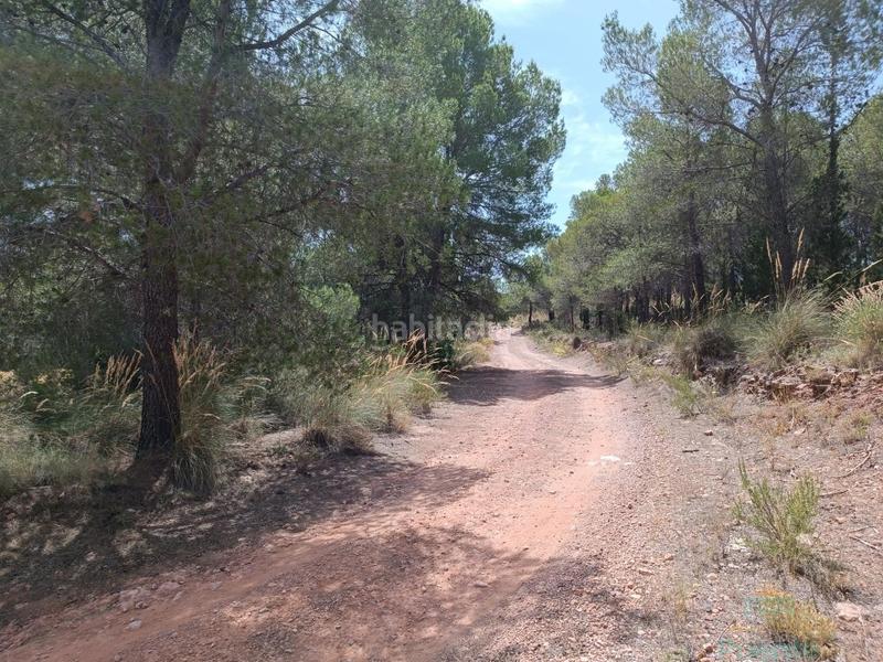 Foto d3bff6a9-b076-42d4-aba2-cea32c27df4b. Terreno residencial terreno en Totana