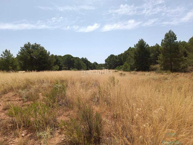 Foto e311d4b1-c8dd-448f-96a4-b85c338d0161. Terreno residencial terreno en Totana