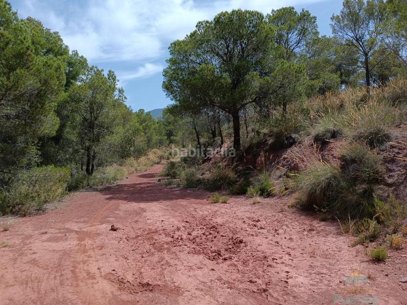 Foto 32df5c46-0b8c-4167-8f5e-e0b25aca9452. Residential plot in Totana