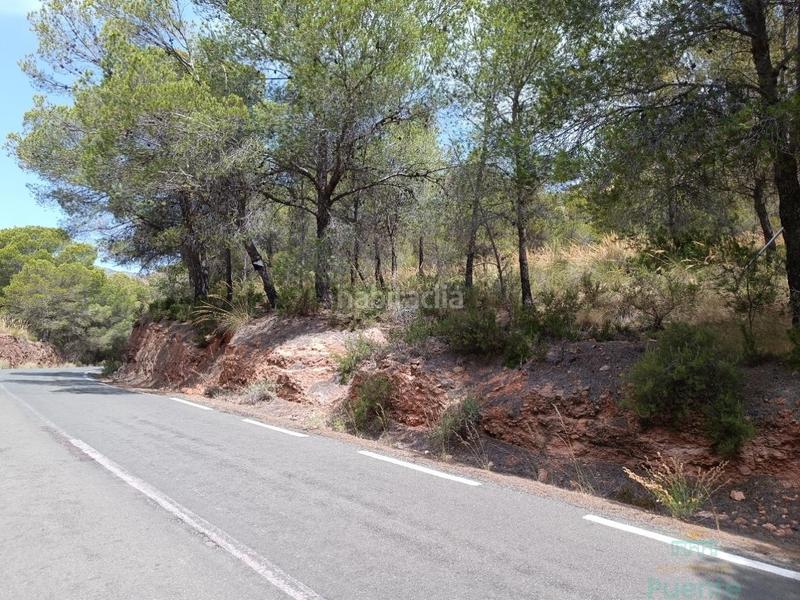 Foto 34513f1e-afc6-4219-813b-2c457d41ec57. Residential plot in Totana