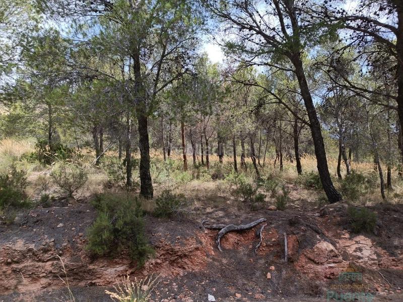 Foto 8b3acd14-1cd9-4cd8-b540-4f72a8e3c8e4. Residential plot in Totana