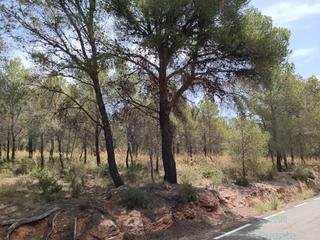 Residential Plot in Totana. Totanaterreno