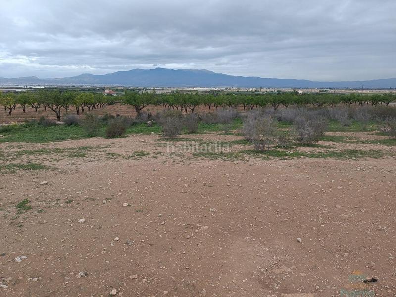 Foto 0eb24682-c87f-4104-bf50-4a25c84ef3f2. Casa a Totana