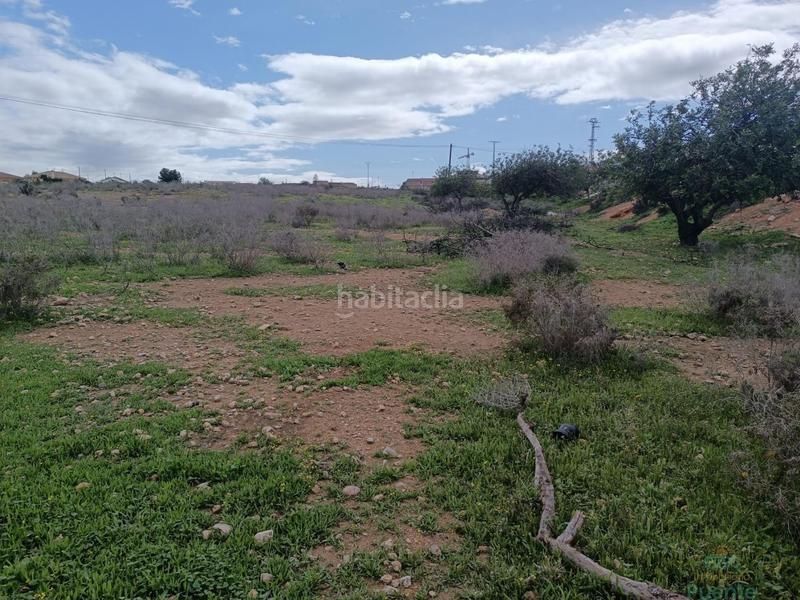 Foto 110c0b16-2eef-4ea0-85d2-87ebd8b8e049. Casa a Totana