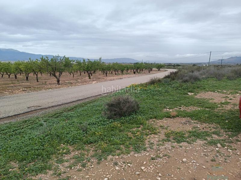 Foto ab1e1a9b-da17-4250-b23c-ee05b517919f. Casa a Totana