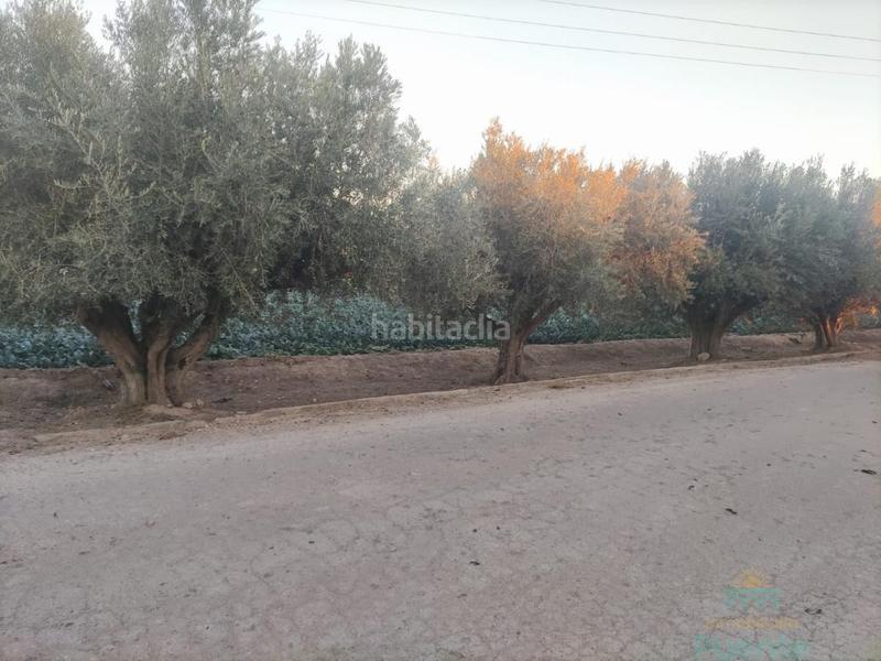 Foto 0e7aa269-0021-420b-8f44-89d32a9af28b. Wohngrundstück in Totana