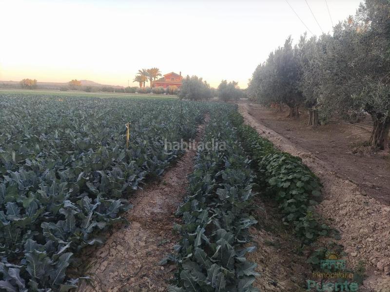 Foto ce5934be-5af5-4b87-8c9c-58708e655b4f. Wohngrundstück in Totana