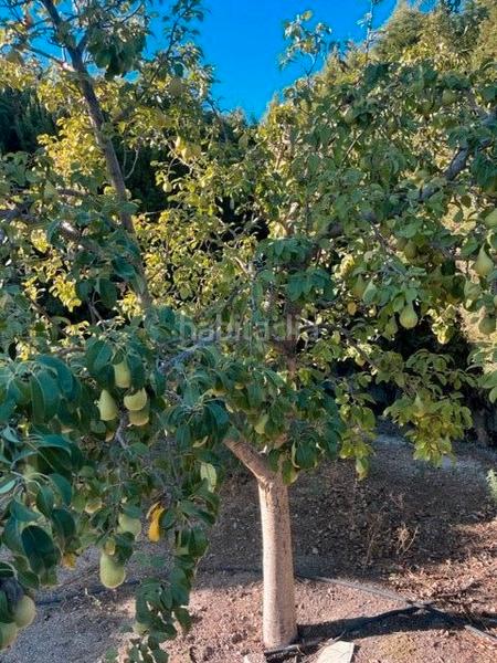 Foto 39e278dd-ba82-4928-9824-fa9a9821368e. Chalet mit kamin parking pool in Pedanías - Extrarradio Albacete