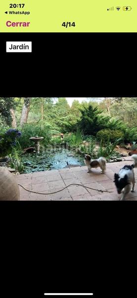 Foto 367b2ed4-3808-4121-9bbc-2e85ad1dde41. Chalet mit kamin parking pool in Pedanías - Extrarradio Albacete