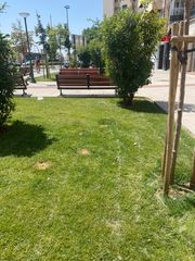 Local Comercial a Calle Hermanos Falco 34