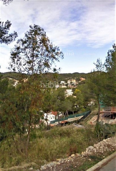 Foto aba5650b-bb7f-4fd7-b894-801e78a30485. Finca rústica terreno con vallado en Mas Trader-Corral d´En Tort-Corral d´En Cona Cubelles