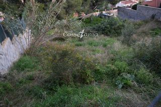 Fondo rustico  Mas canyis. Solar