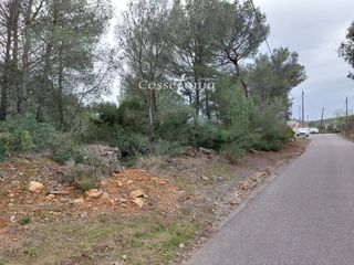 Fondo rustico  Avet de l'  en  la masieta. Finca rustica
