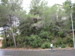 Finca rústica  Gladiol. Parcela urbanizable