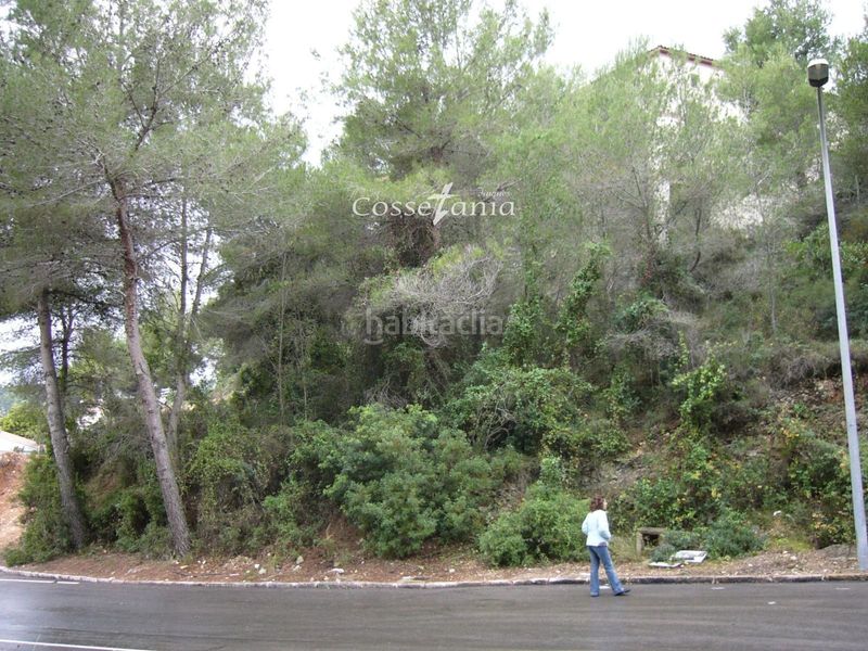 Foto 587826ef-3814-4bb7-a7ee-a915d64fcd13. Finca rústica a costa Cunit - els jardins - els rosers Cunit