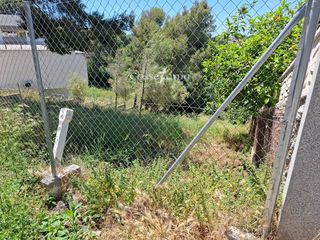 Rural plot  Llorens. En bellvei
