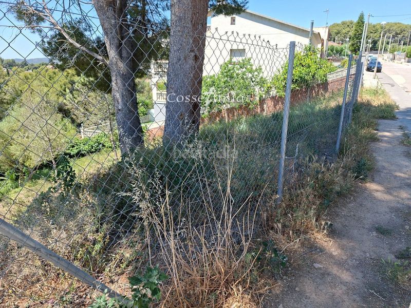 Foto b009ef63-ae5f-447b-95d6-d07f99d4b55d. Finca rústica en Bellvei