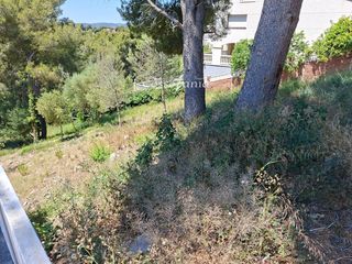 Landgut  Llorens. Parcela urbanizable