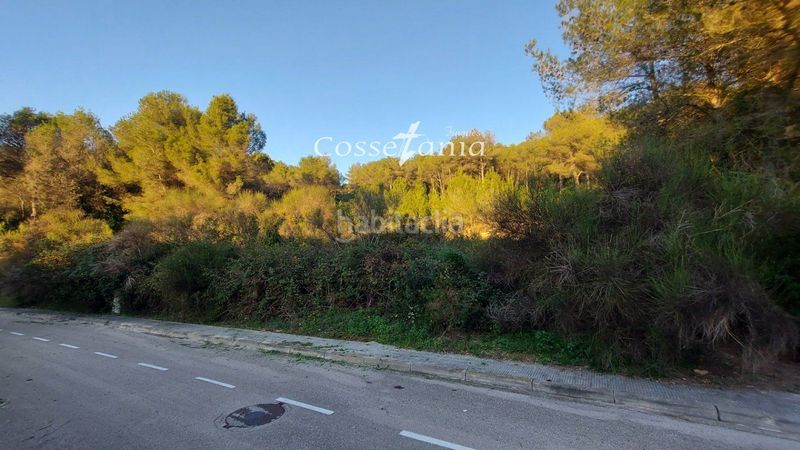 Foto f7124ee6-2cb5-4183-94f4-5dcb8ef48be4. Finca rústica a Calafell poble Calafell