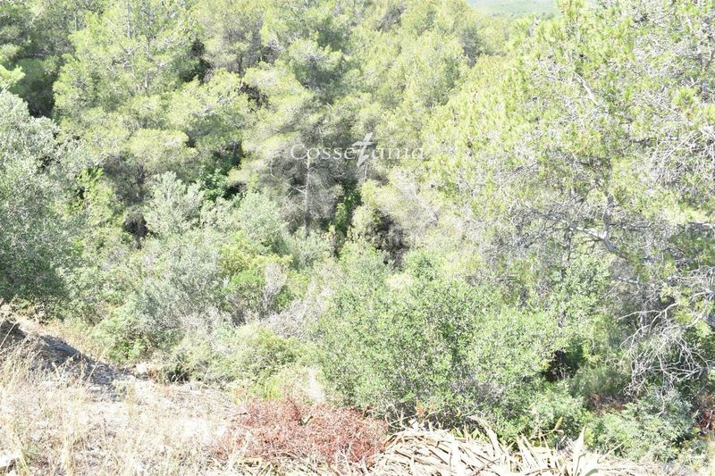 Foto 51901e1a-e65a-4d07-a7b0-48cb334120d4. Finca rústica a Bisbal del Penedès (La)