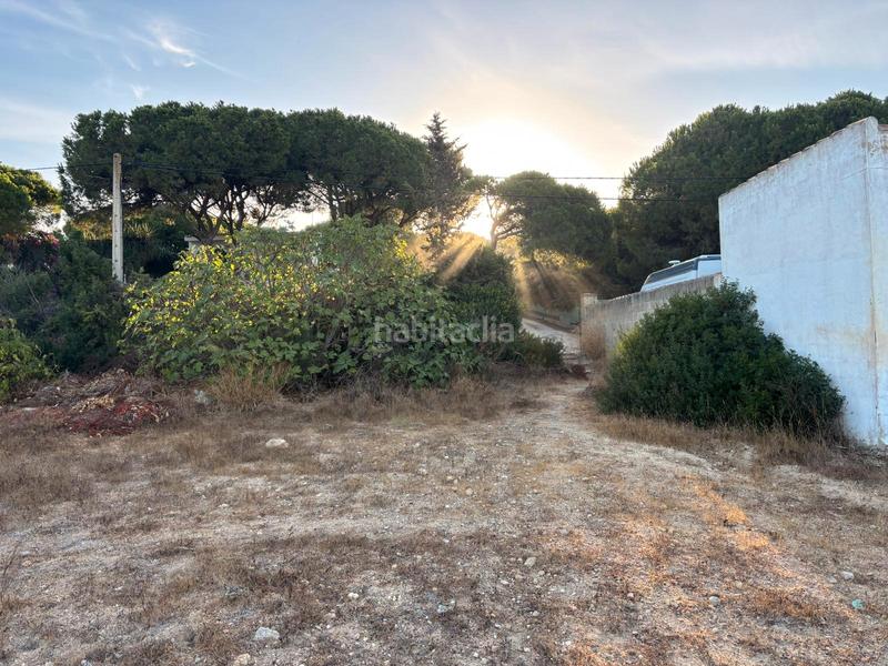 Foto f72c9e81-20a5-4bcb-b850-60d067bc606c. Finca rústica parcela novo santi petry en Las Lagunas - Campano Chiclana de la Frontera