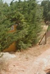 Finca rústica a Los Franceses - La Vega. Parcela con luz