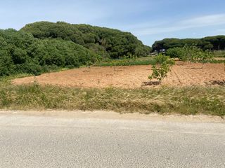 Finca rústica a Camino del Lagar 29