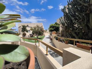Rent Flat in El cano 11. Estudio en alquiler  la tejita, tenerife