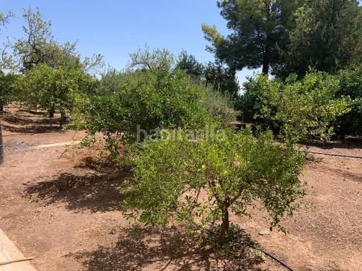 Foto f2ab50f1-e24a-4a22-84d7-c2184f26b8aa. Xalet amb xemeneia aparcament piscina a Totana