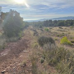 Rural plot in Totana. Oportunidad única en totana: terreno urbanizable de 5.000 m²
