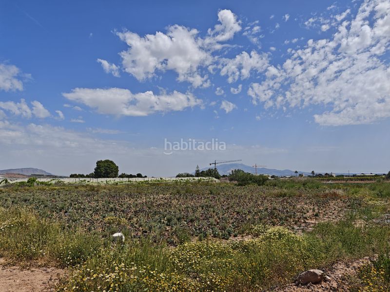 Foto dae40826-07e9-4ab9-9757-9a5389cfd9fa. Finca rústica a Totana