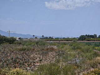 Finca rústica a Totana