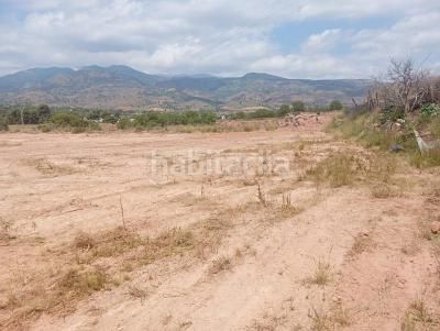 Foto 8b20a562-5b3b-44c2-bcf6-bbfc0749c048. Finca rústica a Totana