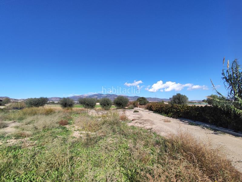 Foto 1aa17652-0bb5-499b-a1d7-14ce37bf3113. Finca rústica ¡tu paraíso rural te espera! en Totana